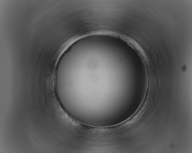 X0000091650860200708231220