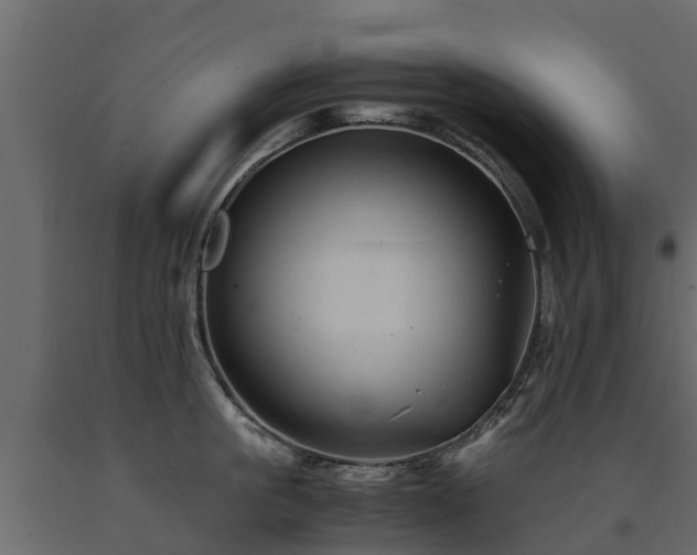 X0000091650861200708231220