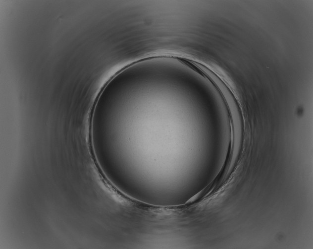 X0000091650862200708231220