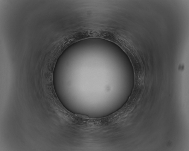 X0000091650865200708231219