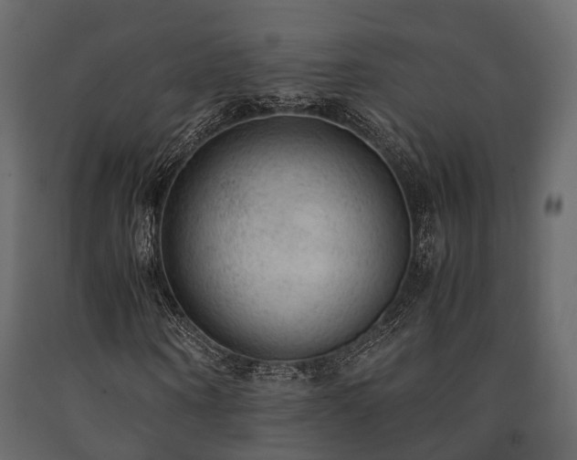 X0000091650866200708231219