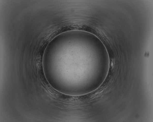 X0000091650867200708231219