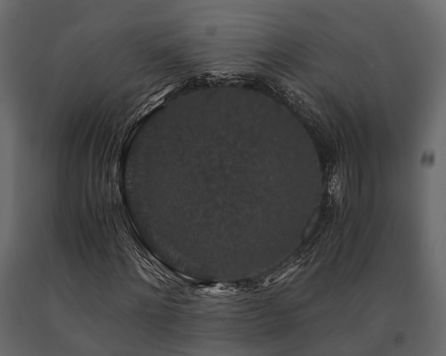 X0000091650868200708231219