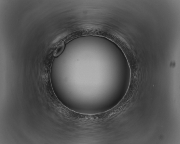 X0000091650869200708231219