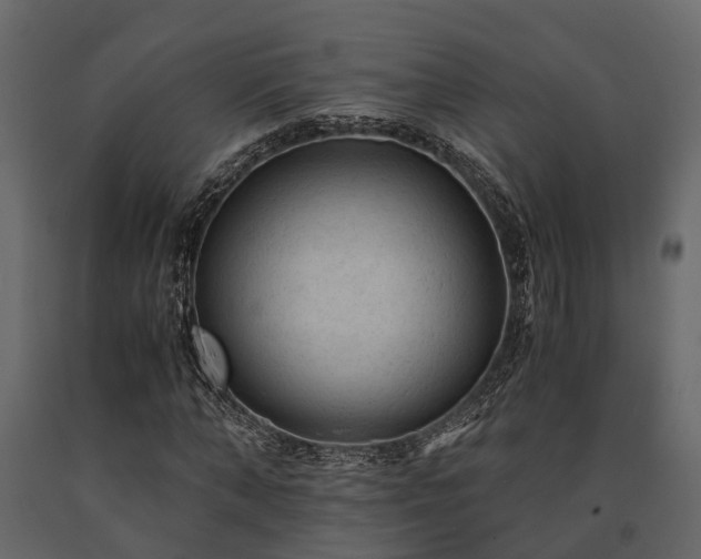 X0000091650870200708231219