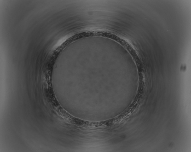 X0000091650871200708231219