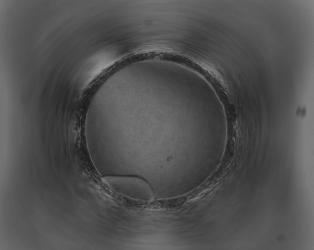 X0000091650872200708231219