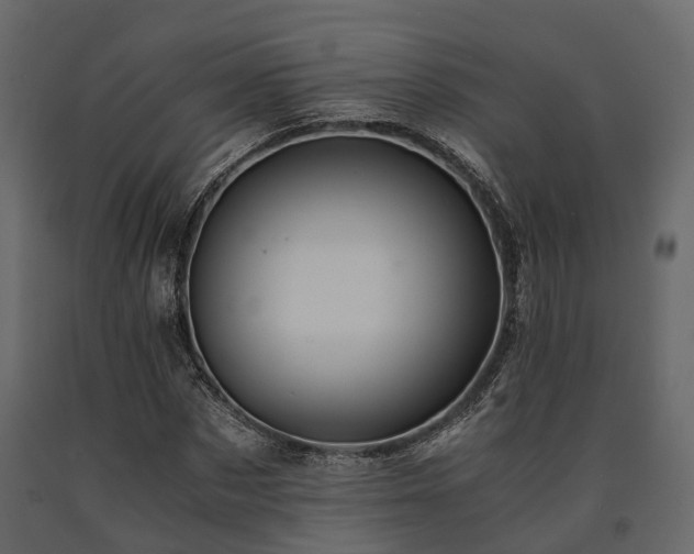 X0000091650873200708231219
