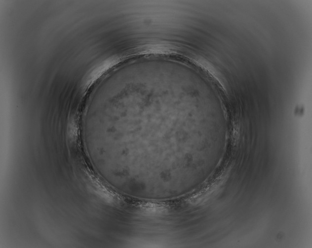 X0000091650874200708231219
