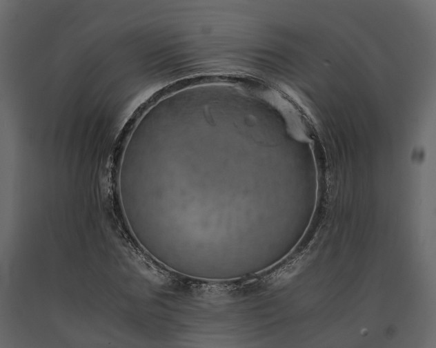 X0000091650875200708231219