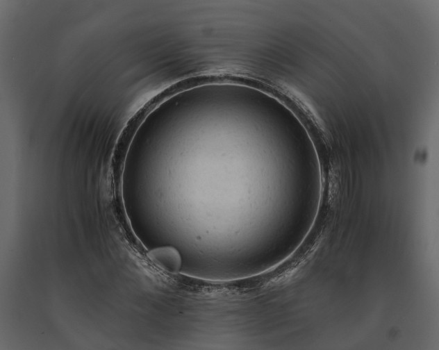 X0000091650876200708231219