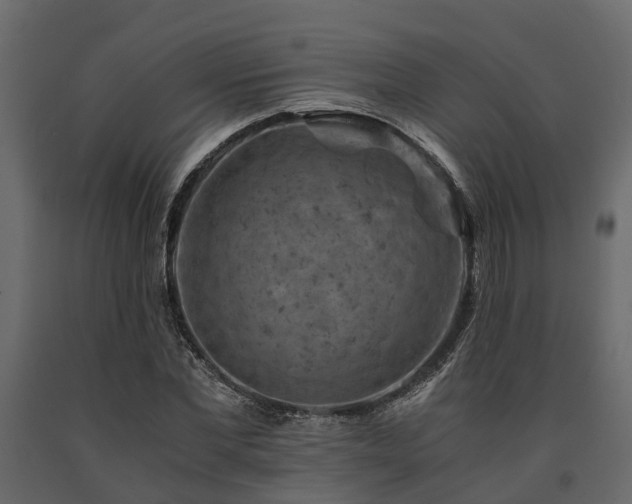 X0000091650877200708231219