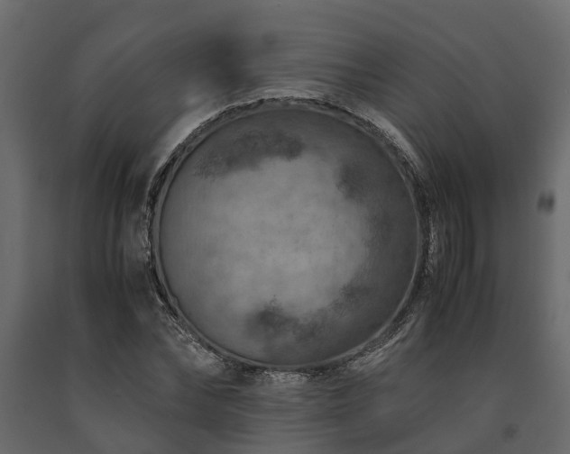 X0000091650878200708231219