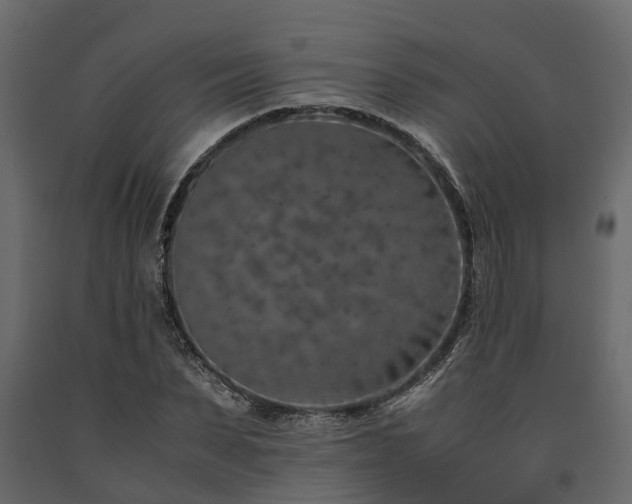 X0000091650879200708231219