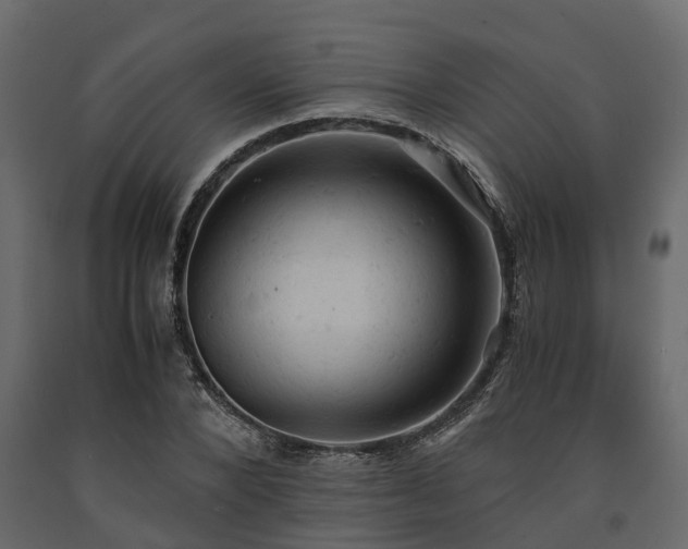 X0000091650880200708231219
