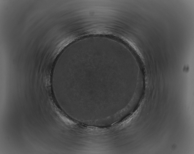 X0000091650881200708231219