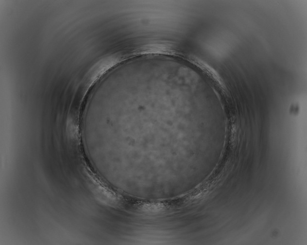 X0000091650882200708231219
