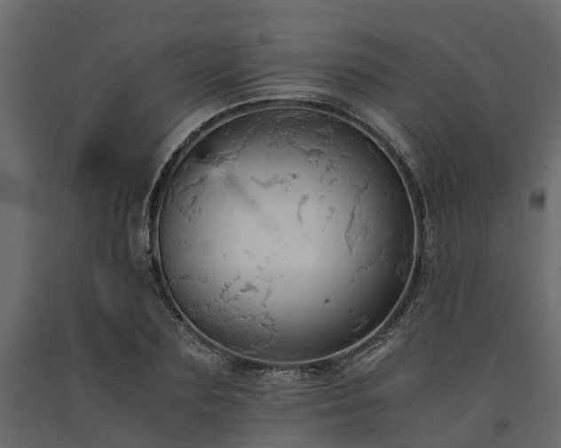 X0000091650883200708231219