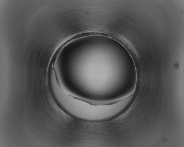X0000091650884200708231219