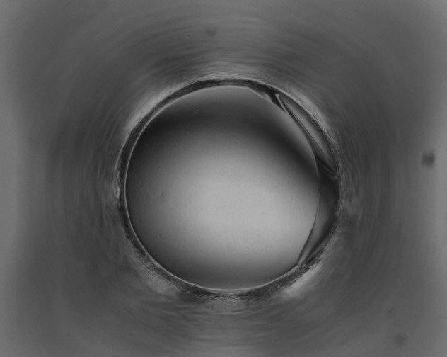 X0000091650885200708231219