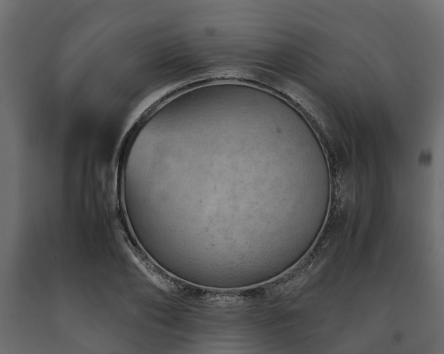 X0000091650886200708231219