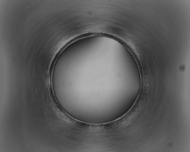 X0000091650887200708231219