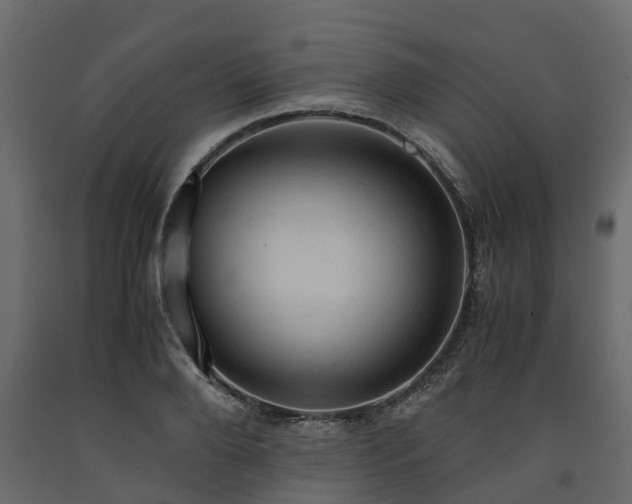 X0000091650888200708231219