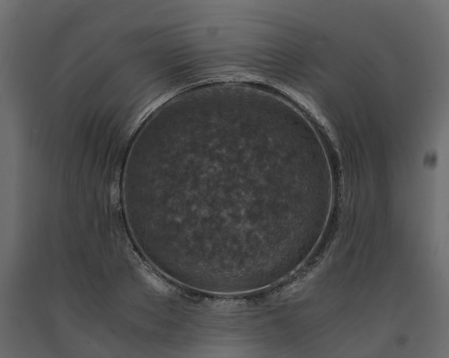 X0000091650889200708231219