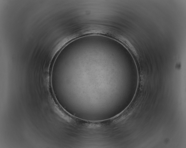 X0000091650890200708231219