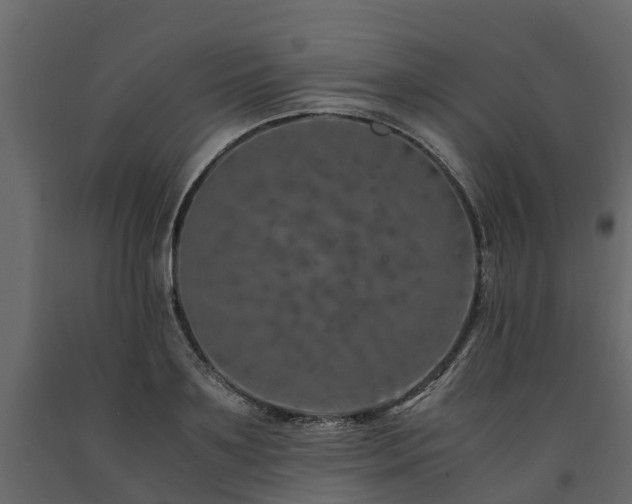 X0000091650891200708231219