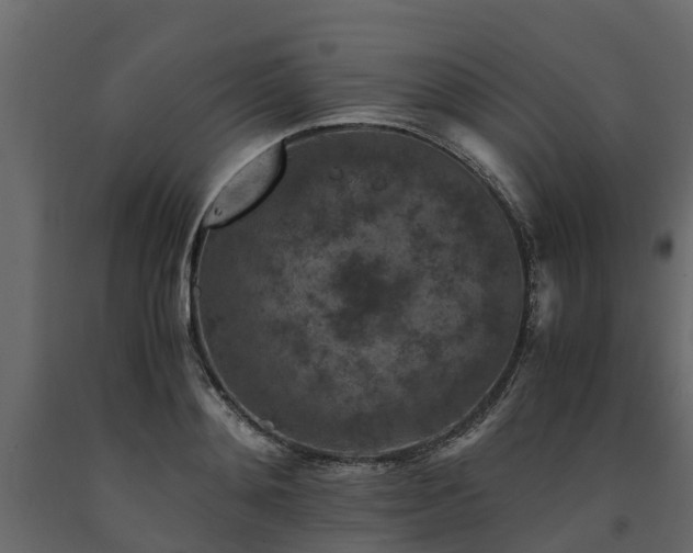 X0000091650892200708231218