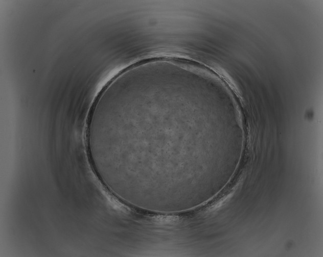 X0000091650893200708231218