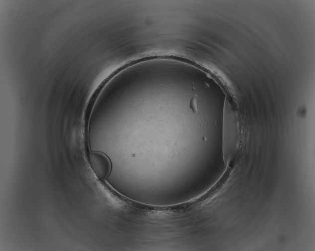 X0000091650894200708231218