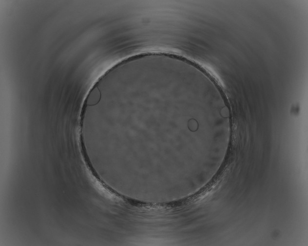 X0000091650895200708231218
