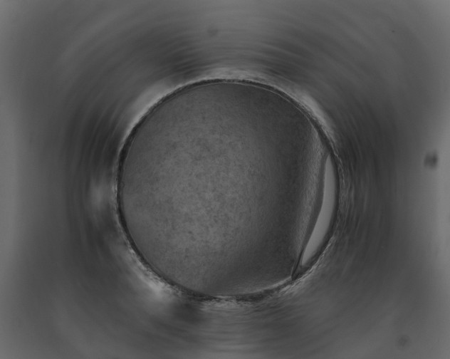 X0000091650896200708231218