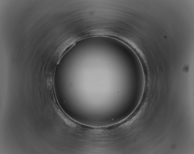 X0000091650897200708231218