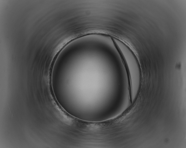 X0000091650898200708231218