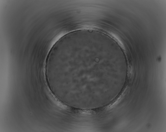 X0000091650899200708231218