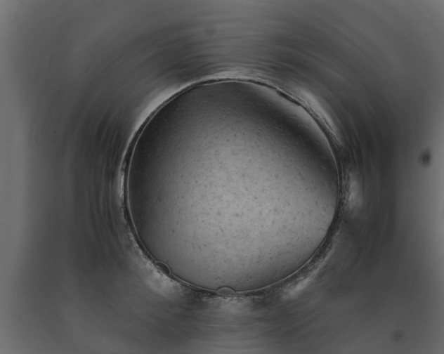 X0000091650900200708231218