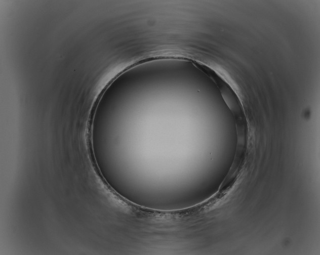 X0000091650901200708231218