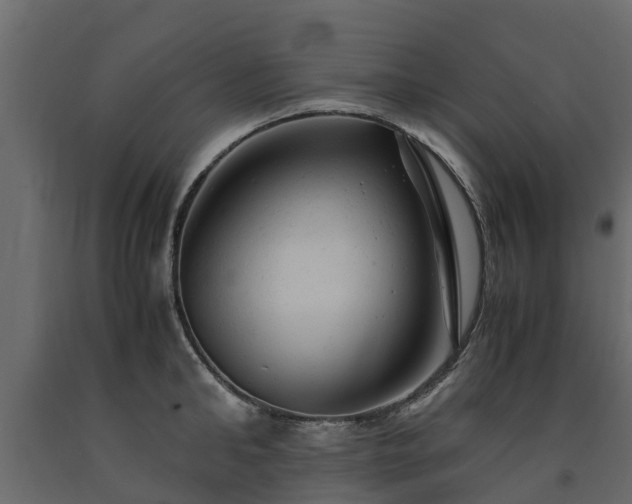 X0000091650902200708231218