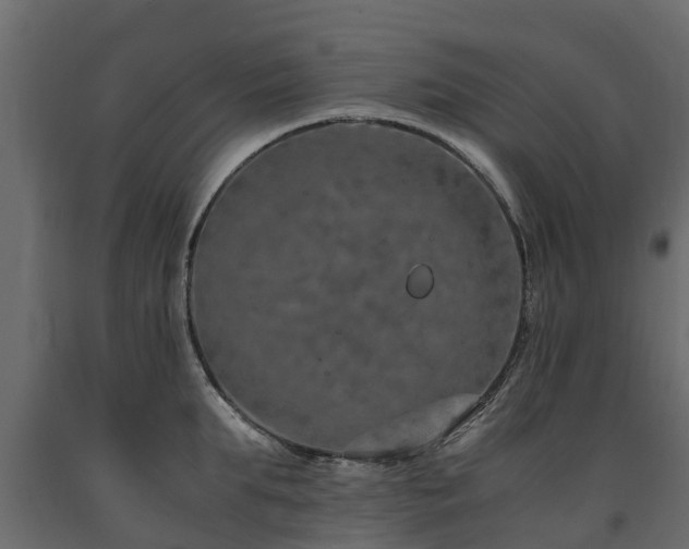 X0000091650903200708231218