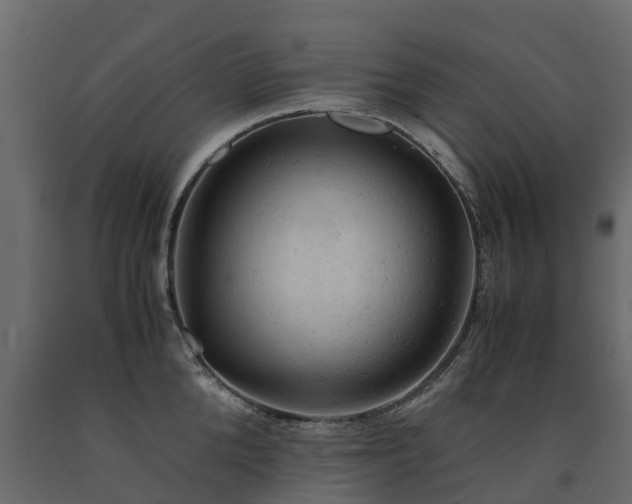 X0000091650904200708231218