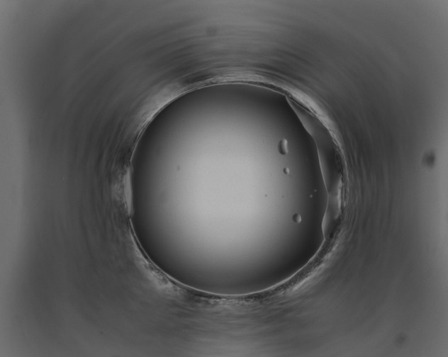 X0000091650905200708231218