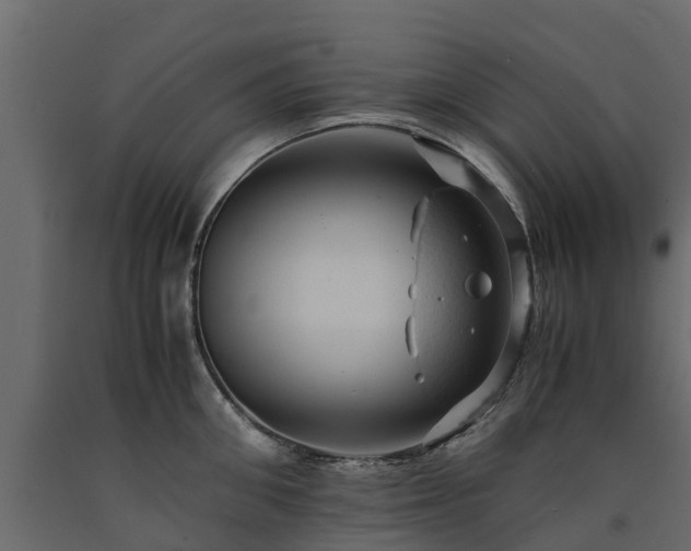 X0000091650906200708231218