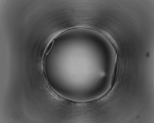X0000091650908200708231218