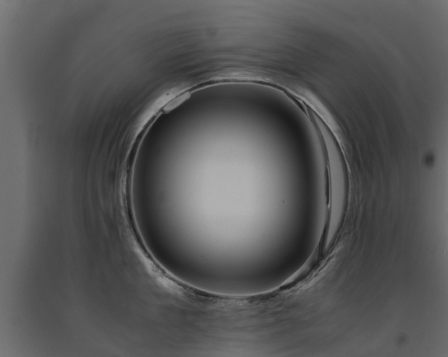 X0000091650909200708231218