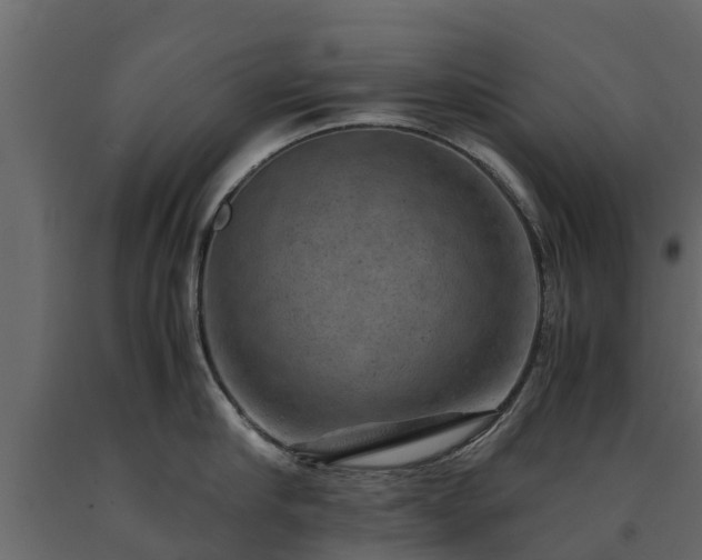 X0000091650910200708231218