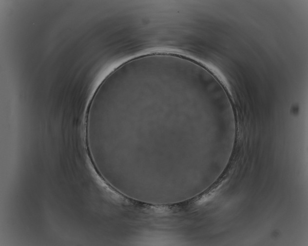 X0000091650911200708231218