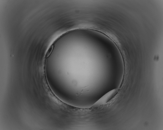 X0000091650912200708231218